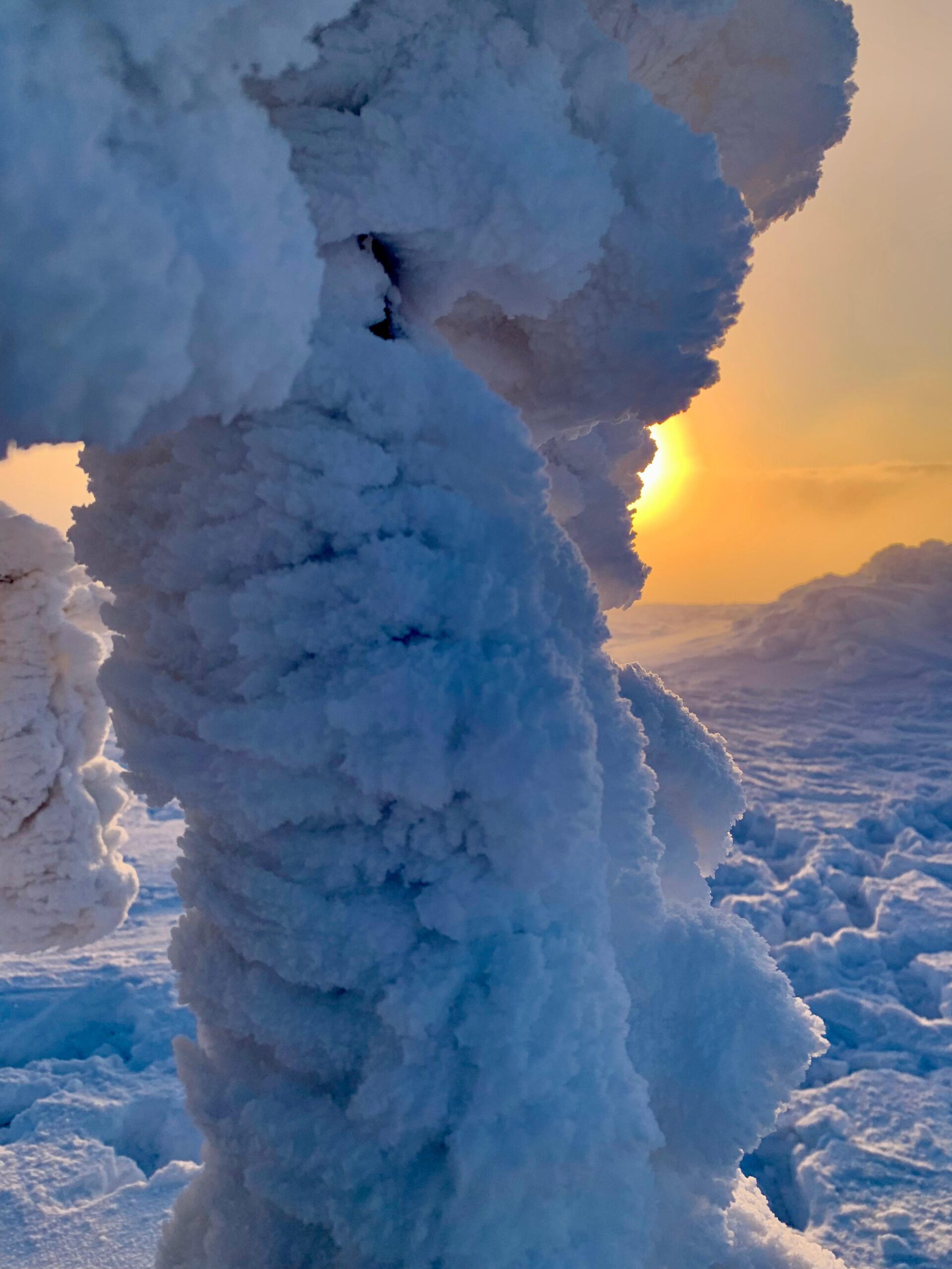 WhatsApp Image 2025-11-25 at 21.53.56