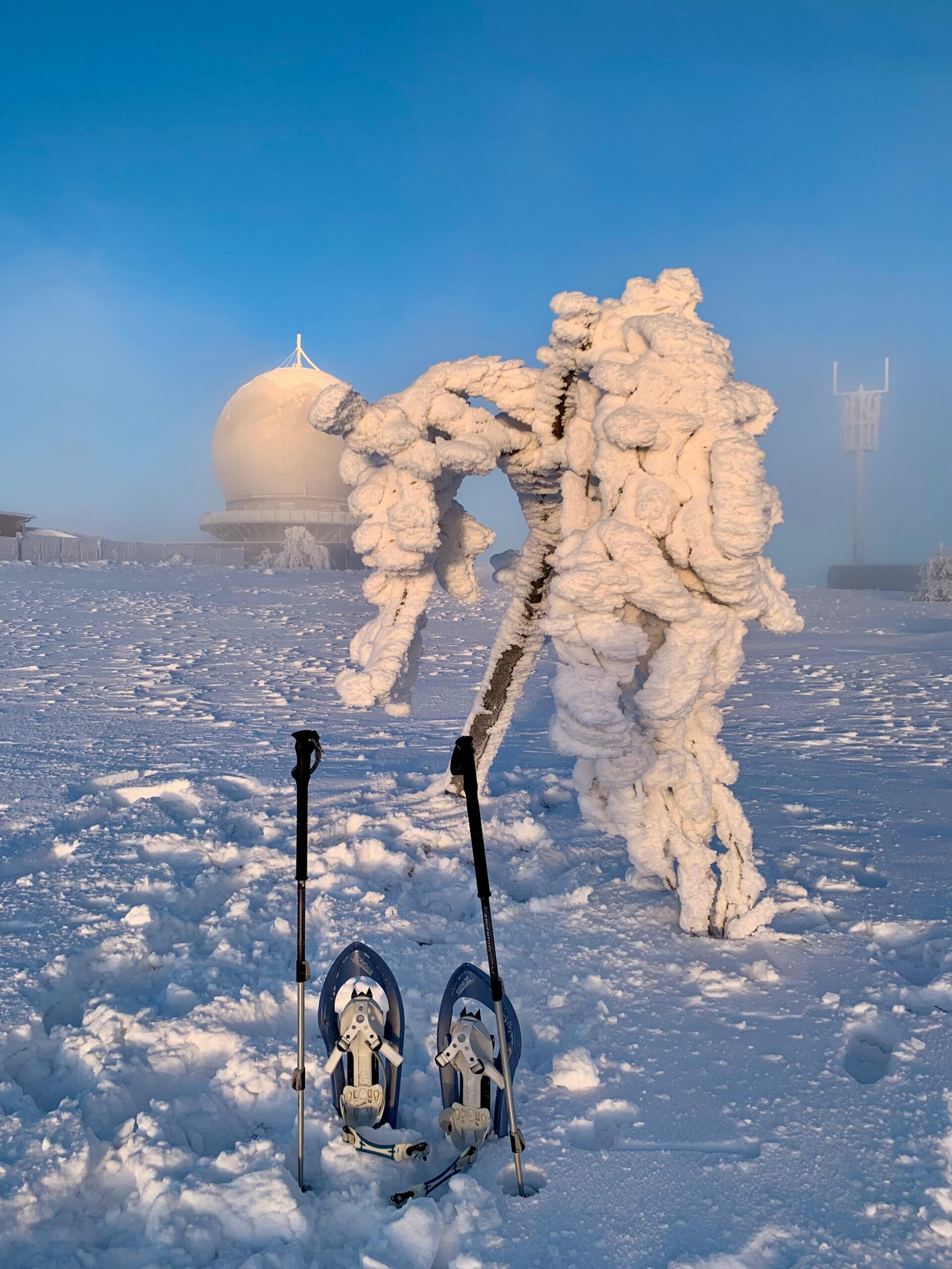 WhatsApp Image 2025-11-25 at 21.54.18